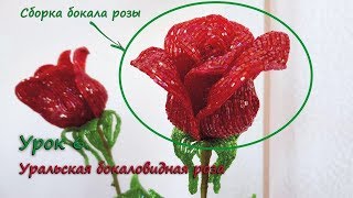 Бокаловидная роза. ? Урок 6 - Сборка бокала розы / Cup-shaped rose. Lesson 6 - Rose bud assembling