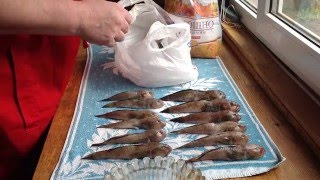ПОСОБИЕ ДЛЯ ХОЛОСТЯКОВ:  ЖАРИМ РЫБУ