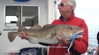 Bass, Cod, Pollock and Conger Wreck Fishing Weymouth on Tiger Lily