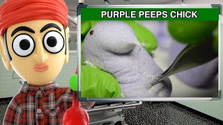 Peeps Purple Marshmallow Chicks - Runforthecube Candy Review