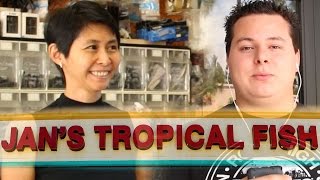 Tropical Fish Store Tours: Jan's Tropical Fish