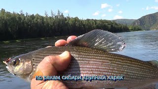 ПО РЕКАМ СИБИРИ НА БОЛОТО ХОДЕч 1