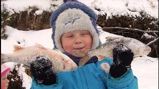 Как зимуют лодки | Катание на… собаке! | Как ловят на севере | Зимние ловушки для рыбы