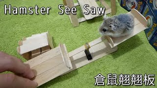 【DIY Guide】倉鼠翹翹板 Hamster SeeSaw