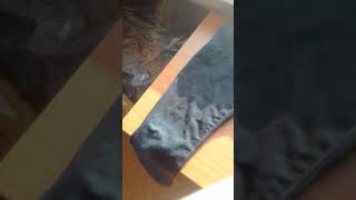 Мой однаклассник описался и сушит свои ссаные штаны