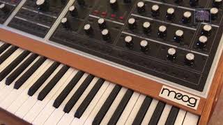 Arrival of the ONE - Moog One 16 voice Synth S/N 87 is here!