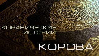 Коранические истории в ИКЦ Киева. Корова
