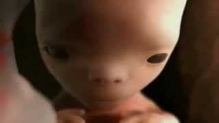 Зачатие ребёнка! Уникальное видео! Смотри!