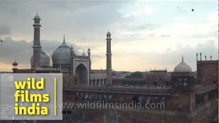 Delhi : The Heart of India