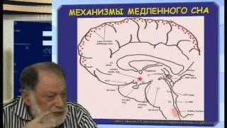 Механизмы бодрствования и сна - Ковальзон Владимир