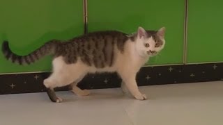 Брейк дэнс ???