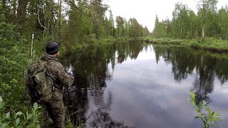 ЛОВИМ ЩУКУ НА ТАЁЖНОЙ РЕКЕ / ЯРОСТНЫЕ ПОКЛЁВКИ / ДРУИД ФЕОФАН СПИННИНГУЕТ
