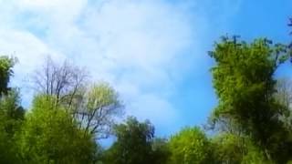 Natur und Wald Impressionen 4 (Chillout) Entspannung Meditation Musik
