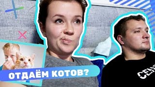 АЛЛЕРГИЯ У РЕБЁНКА . ОТДАЁМ КОТОВ?! ПРО МОЙ УХОД С YOUTUBE