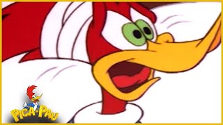 Pica Pau em Português | Fingidor da dor | Desenhos Animado