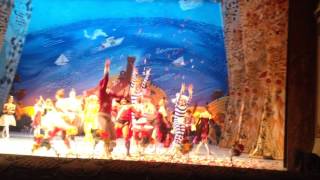 IMG 7545