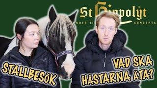 VAD SKA HÄSTARNA ÄTA?