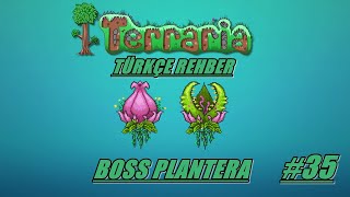 Terraria Rehber (TÜRKÇE) #35 "Plantera BOSS"