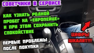 УЗНАЛ ПРОБЕГ и УХУЕЛ!  Моя первая диагностика Рено Меган 3 после покупки