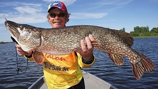 Константин Кузьмин. Pro Anglers League (PAL) 2013, первый этап (сеанс видео-чата)