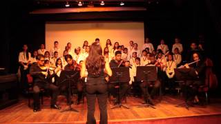 Alma Llanera - Fundación Musical Simón Bolívar
