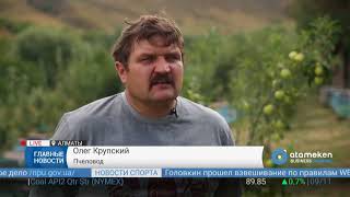 Пчеловоды Казахстана просят поддержки у государства