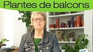 Comment entretenir votre jardin en hiver ?