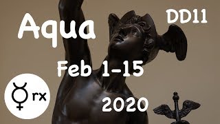 AQUARIUS ♒️"THE FREEDOM TO MOVE TOWARDS YOUR DESIRES" FEBRUARY 1-15 2020 DIVINE SPREAD