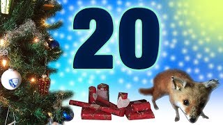20. Türchen | Adventskalender 2017