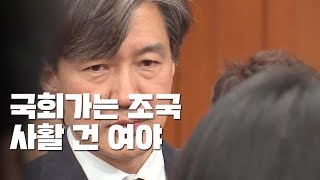 31일 국회가는 靑 조국 수석...사활 건 여야 / YTN