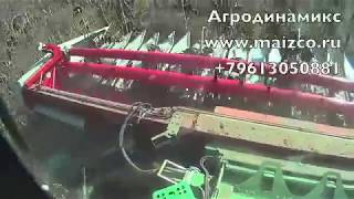 Бережная уборка крупноплодного СПК подсолнечника без потерь