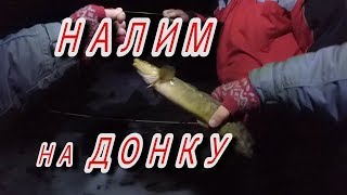 Весенняя рыбалка 2019, налим ночью на донку с червем