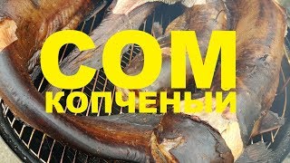 СОМ КОПЧЕНЫЙ НА УГОЛЬНОЙ КОПТИЛЬНЕ WEBER РЕЦЕПТЫ СЮФ