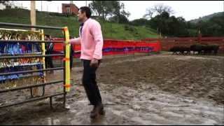 Jackass 3D behind the scene extended