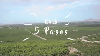 Vino, adrenalina y relajo en Ica ?