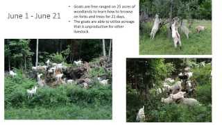 Intensive Management Rotational Grazing for Goats