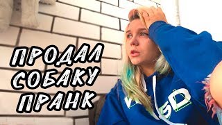 ПРОДАЛ СОБАКУ ДЕВУШКИ | ПРАНК