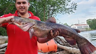 Wisconsin River Dells Dam Catfishing Catch and Cook
