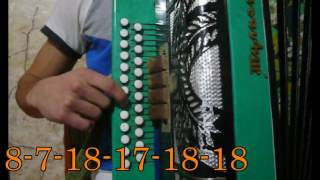 Татарская плясовая на гармони (видеоурок).