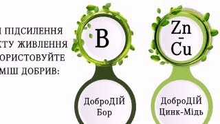 Основні характеристики продукції ДоброДІЙ
