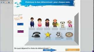 Les déterminants indéfinis - Activité FLE pour TBI