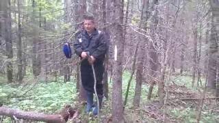 Самая высокая точка, Пудожский район - на вершине горы Сомба -  6 ч из 7