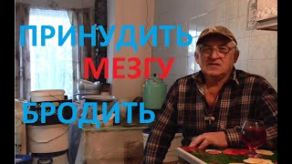 КАК ПРИНУДИТЬ МЕЗГУ К БРОЖЕНИЮ