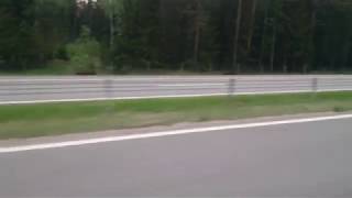 Бег двух сохатых по той же могилёвской трассе. Красота