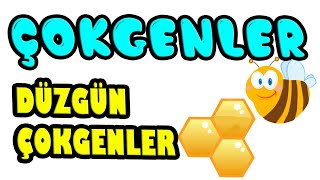 7.sınıf Çokgenler ve düzgün çokgenler konu çözümlü