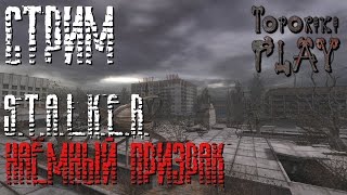 СТРИМ ПО S.T.A.L.K.E.R. Наёмный Призрак.