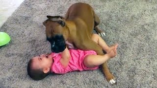 Bebês bonitos e cães Compilação 2018!