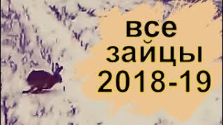 Охота на зайца.ВСЕ ЗАЙЦЫ сезона 2018-19г.ТОЗ 34.Hunting a hare.All the hares.