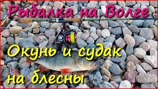 Ловля окуня и мелкого судака на блесну. Лайт спиннинг в июле.