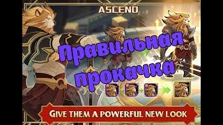 AFK ARENA - гайд "Как правильно качать героев".